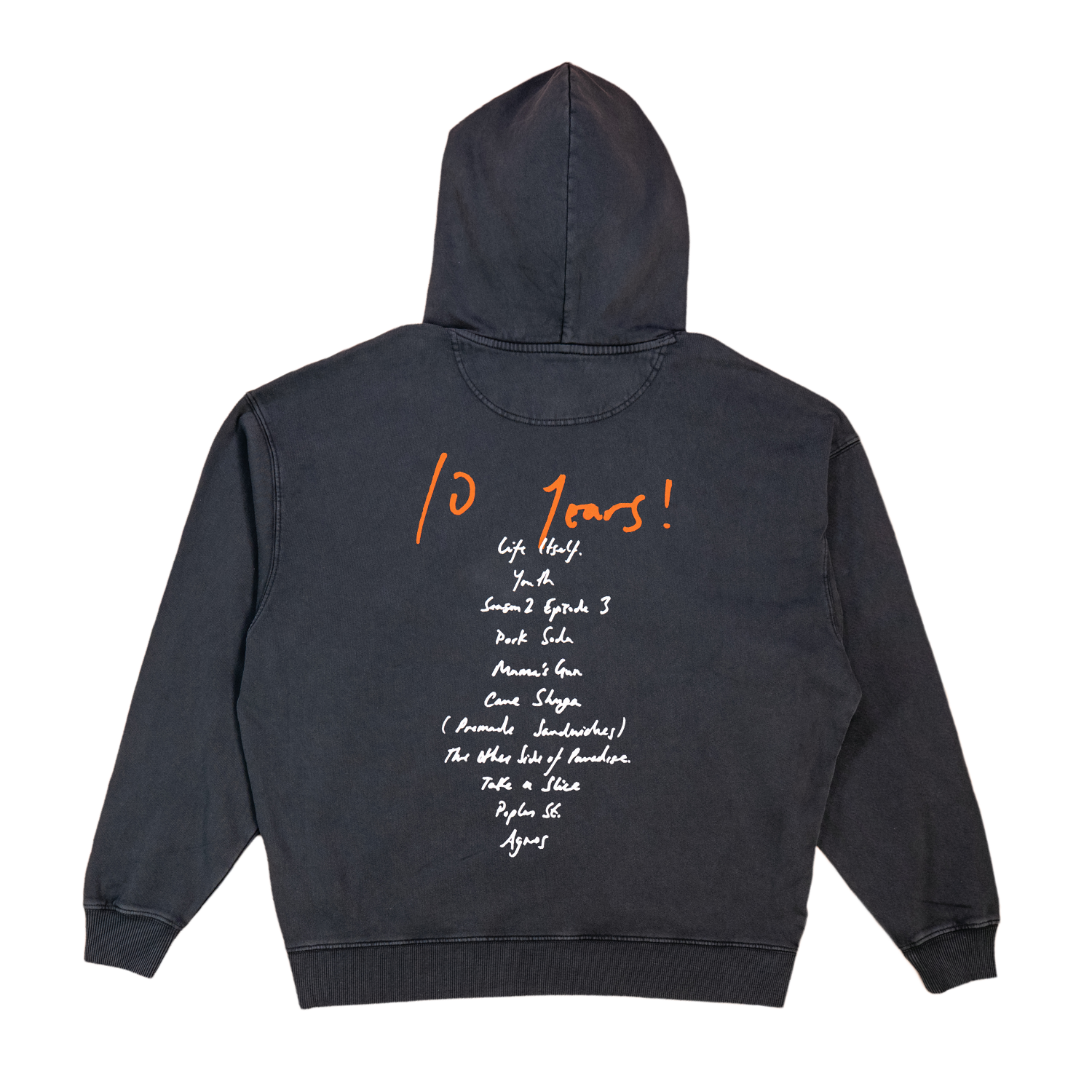 Glass Animals - How To Be A Human Being Black Hoodie