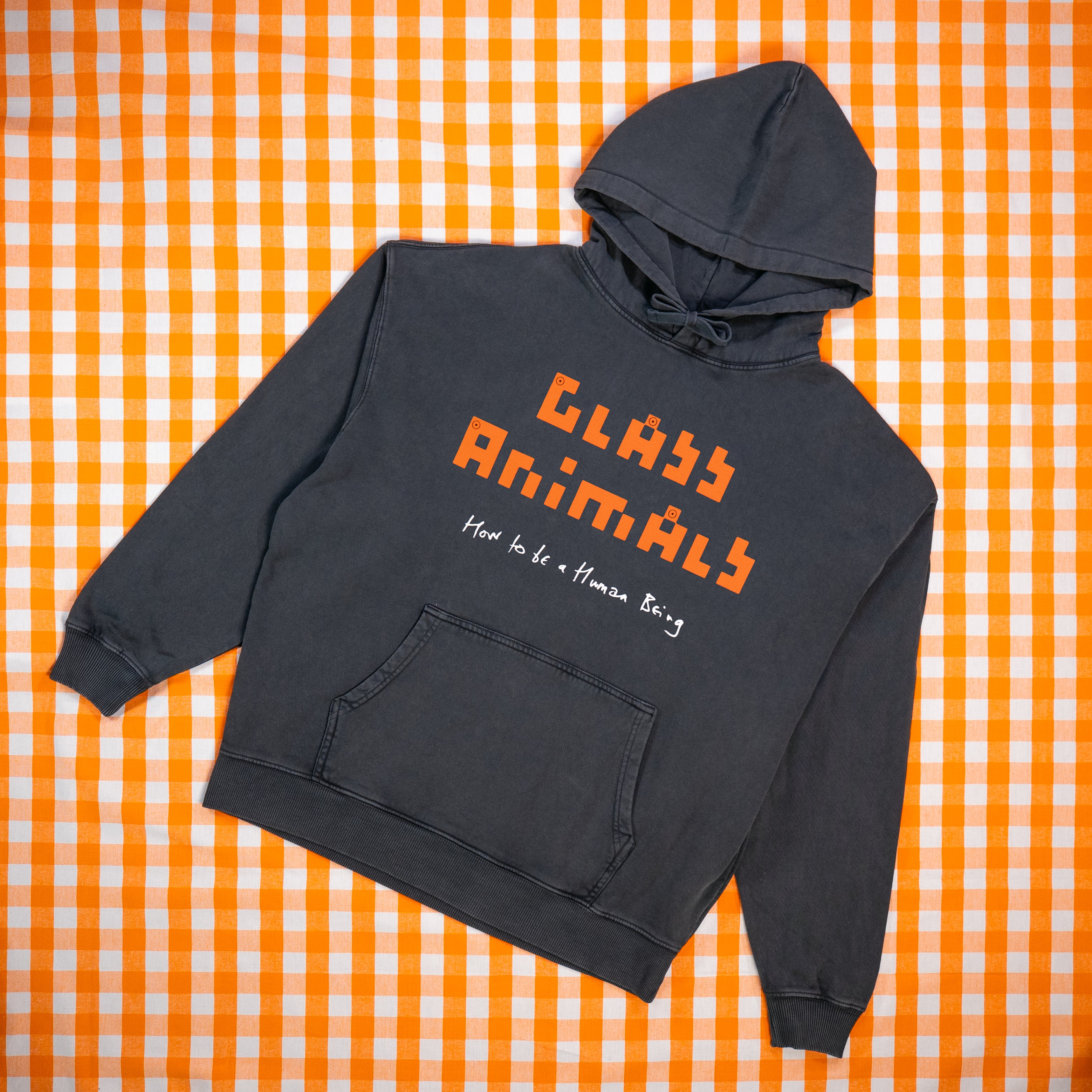 Glass Animals - How To Be A Human Being Black Hoodie