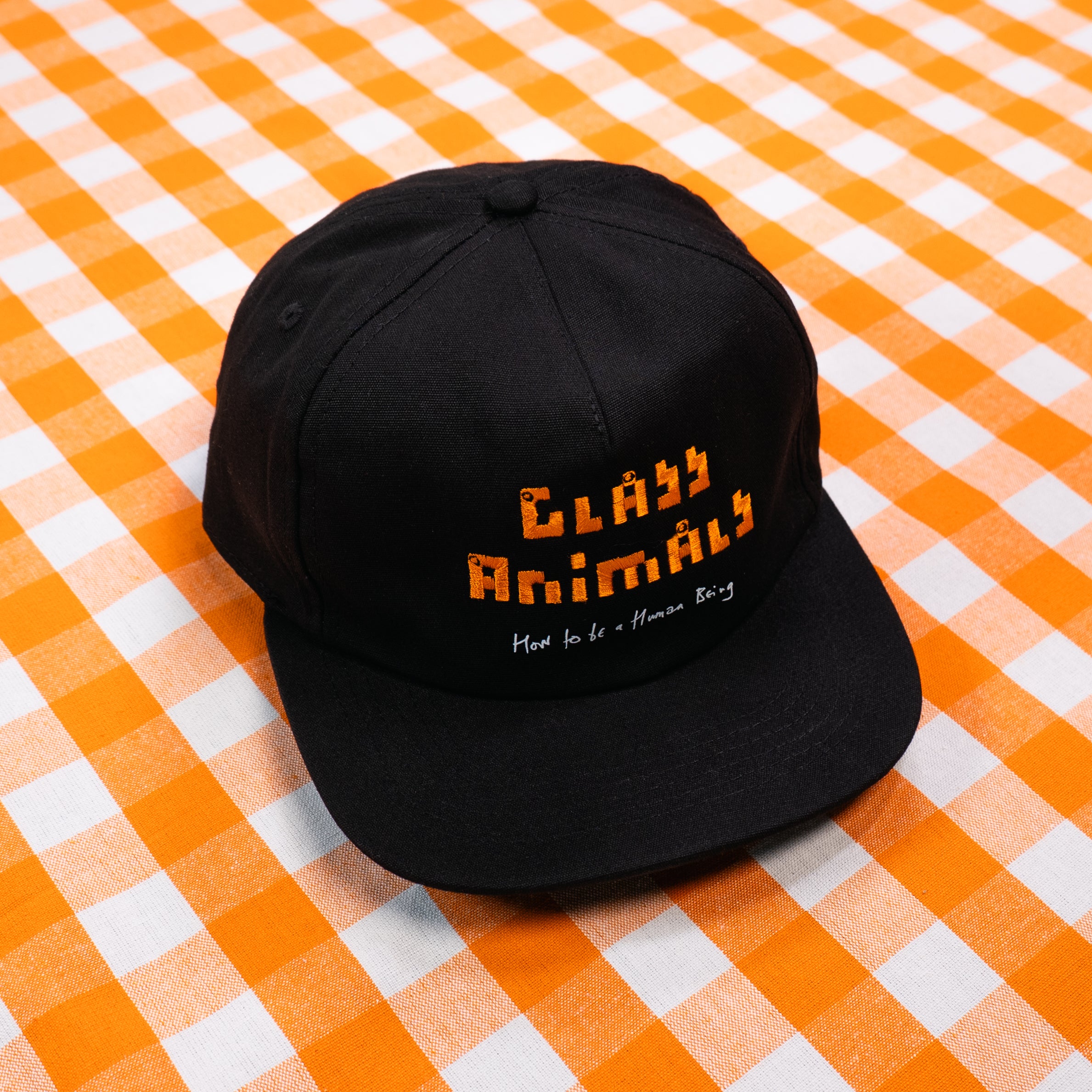 Glass Animals - How To Be A Human Being Logo Cap