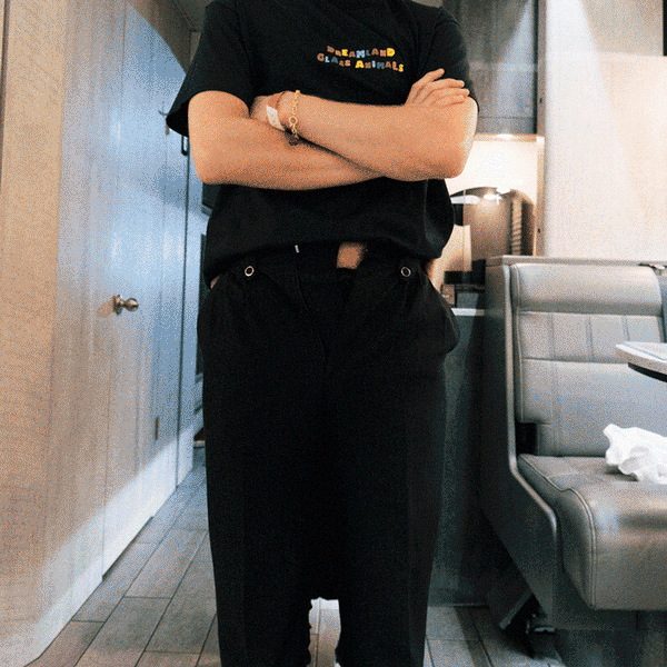 Dreamland Glass Animals