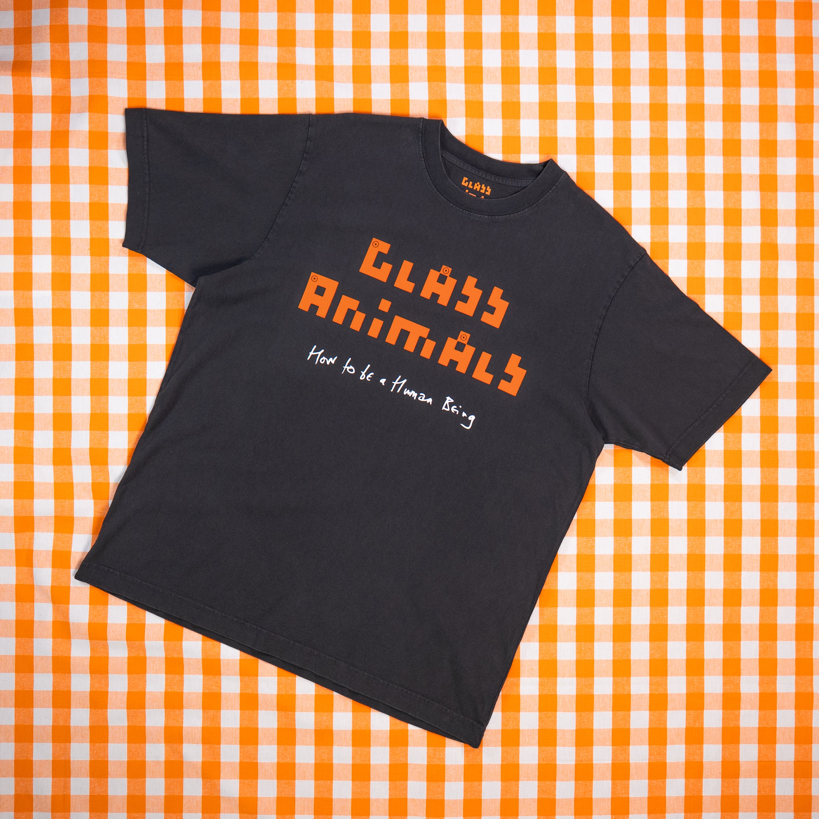 Glass Animals - How To Be A Human Being Black Relaxed Fit Tee